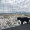 Kedi Filesi - 4 cm Gözenek - 2.5 mm İp - Balkon Filesi - Kedi Ağı